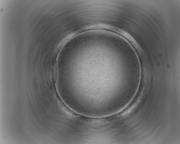 X0000063450857200601271537