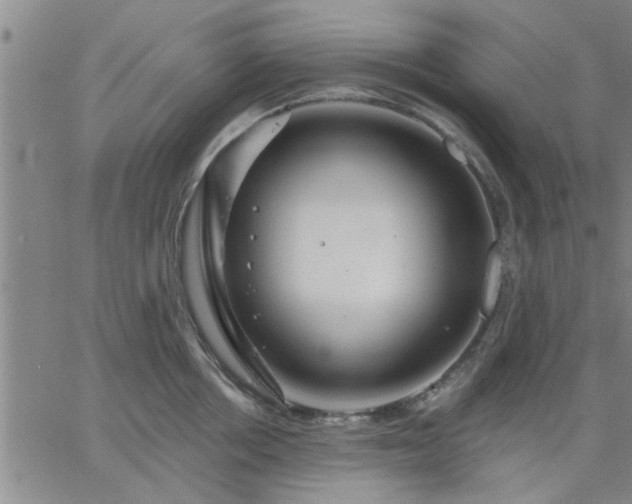 X0000063450858200601271537