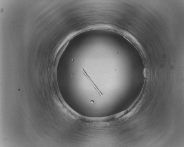 X0000063450860200601271537