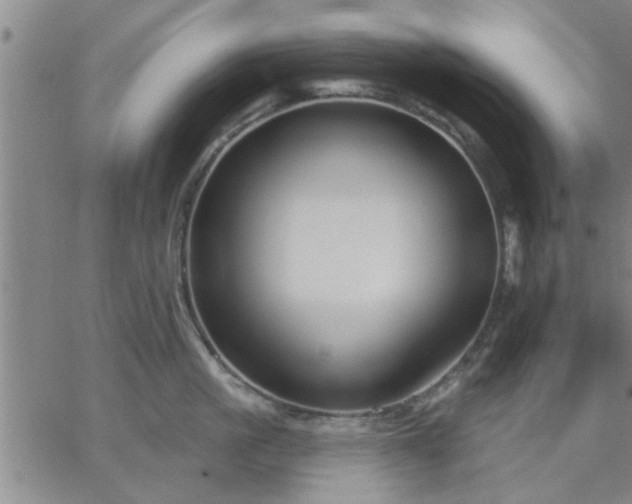 X0000063450861200601271537