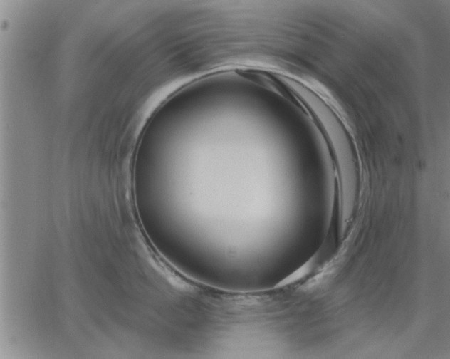 X0000063450862200601271537