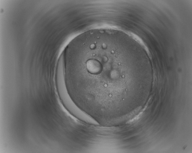 X0000063450863200601271537