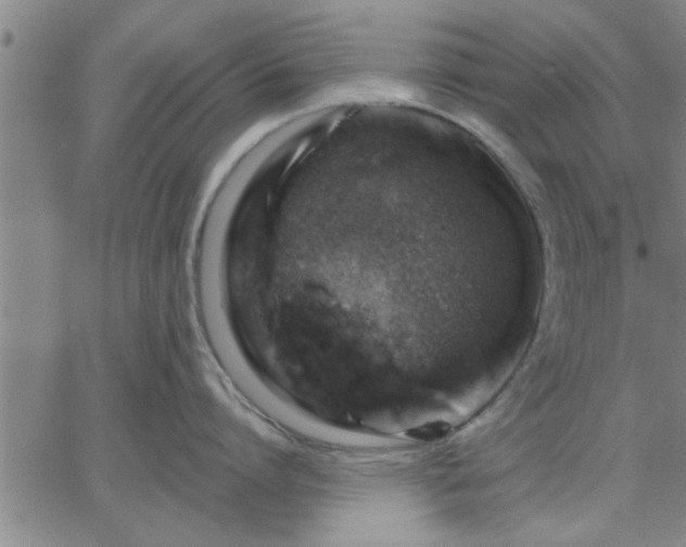 X0000063450864200601271537