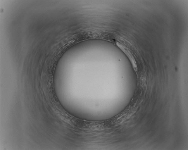 X0000063450865200601271536