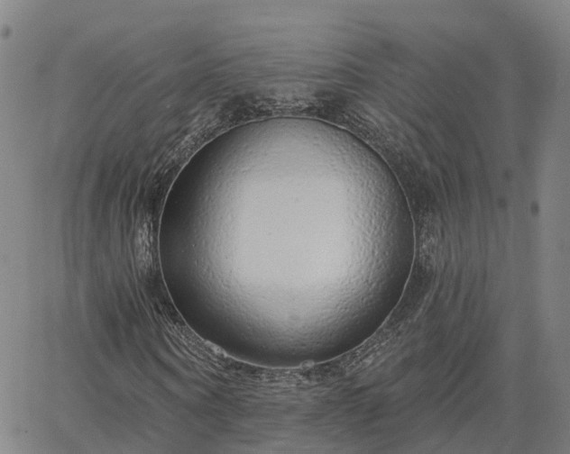 X0000063450866200601271536