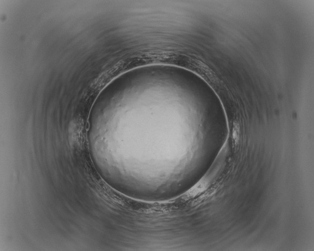 X0000063450867200601271536