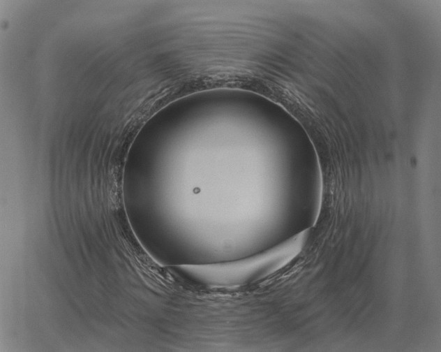 X0000063450868200601271536