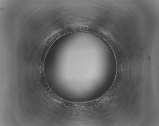 X0000063450870200601271536