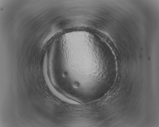 X0000063450871200601271536