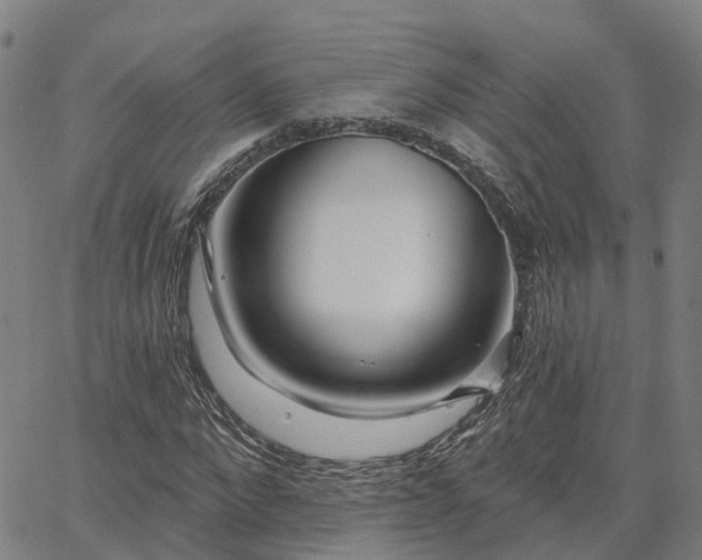 X0000063450872200601271536