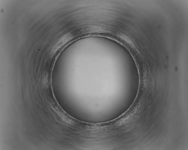 X0000063450873200601271536