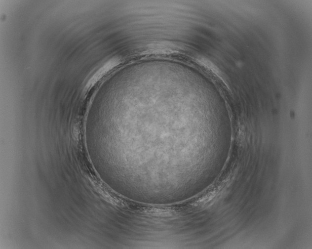 X0000063450874200601271536