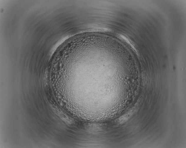 X0000063450875200601271536