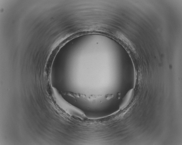 X0000063450876200601271536