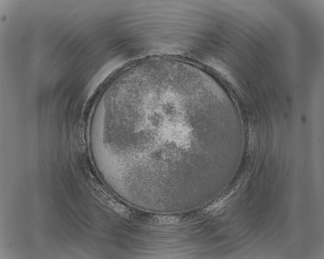 X0000063450878200601271536