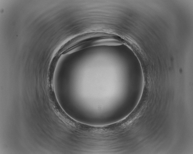 X0000063450880200601271536