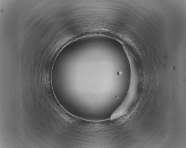 X0000063450881200601271536