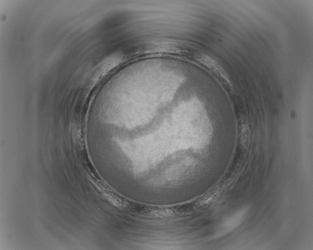 X0000063450882200601271536