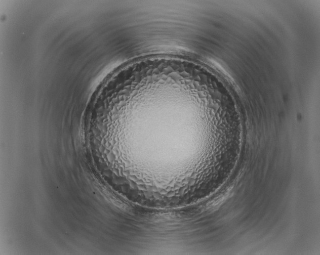 X0000063450883200601271536