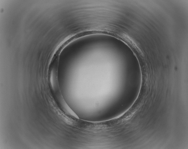 X0000063450884200601271536