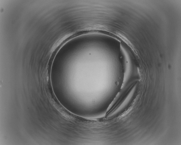 X0000063450885200601271536