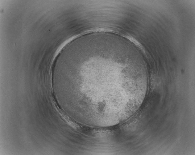 X0000063450886200601271536