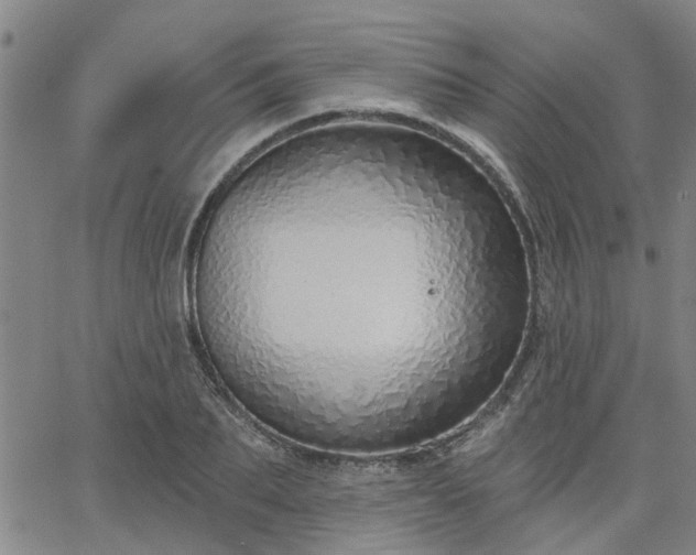 X0000063450887200601271536