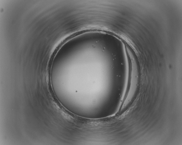 X0000063450888200601271536