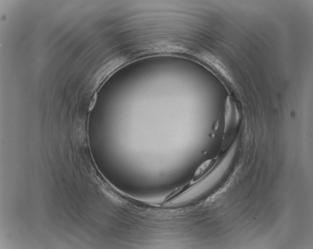 X0000063450889200601271536