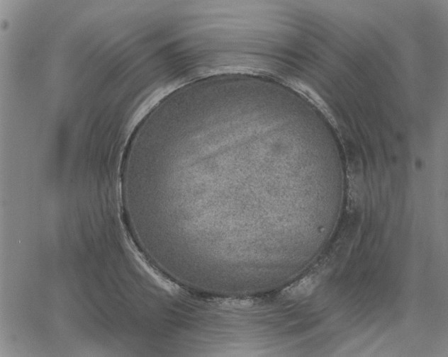 X0000063450890200601271536