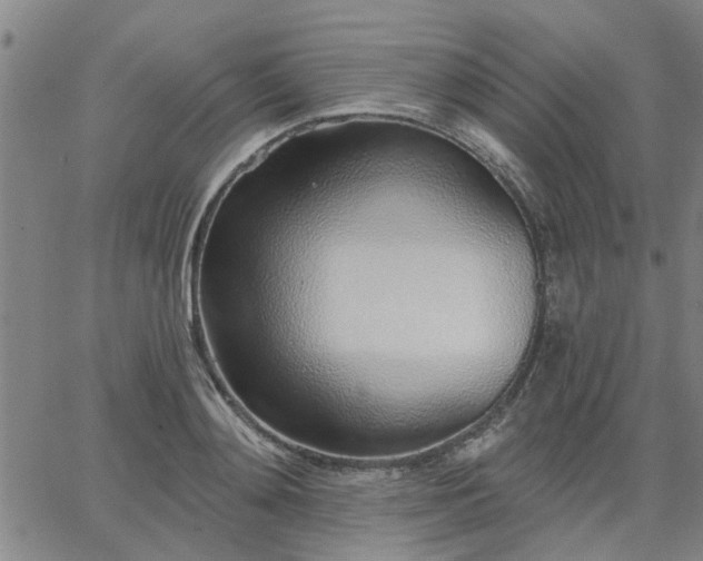 X0000063450892200601271536