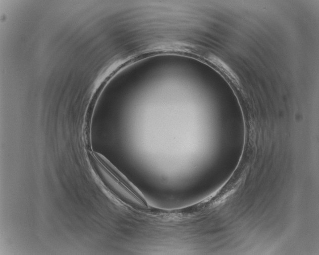 X0000063450893200601271536