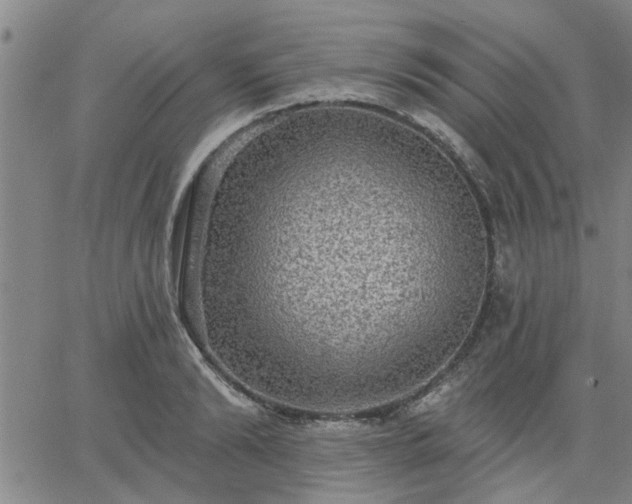 X0000063450894200601271536