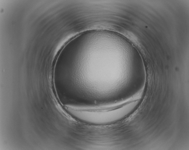 X0000063450896200601271536