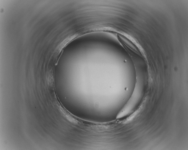 X0000063450897200601271536