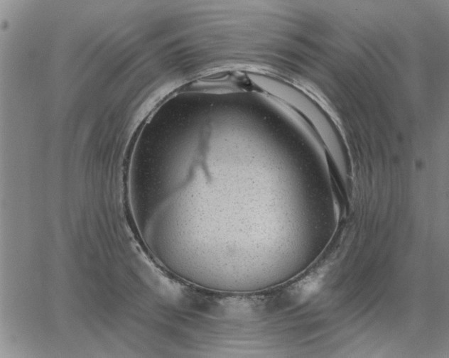 X0000063450898200601271536