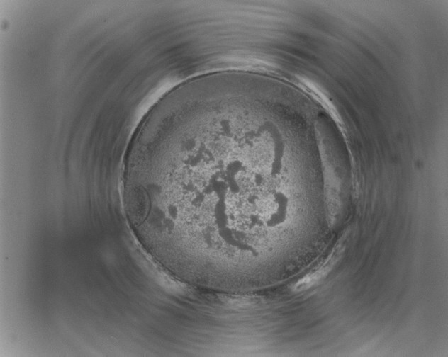 X0000063450899200601271536