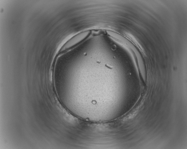 X0000063450900200601271536