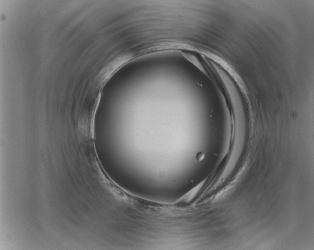 X0000063450905200601271536