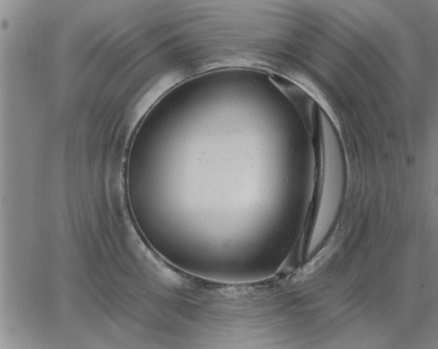 X0000063450906200601271536