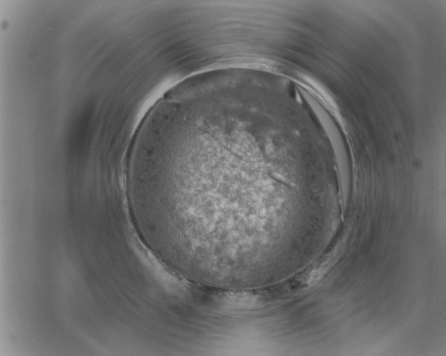 X0000063450907200601271536