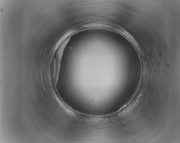 X0000063450909200601271536