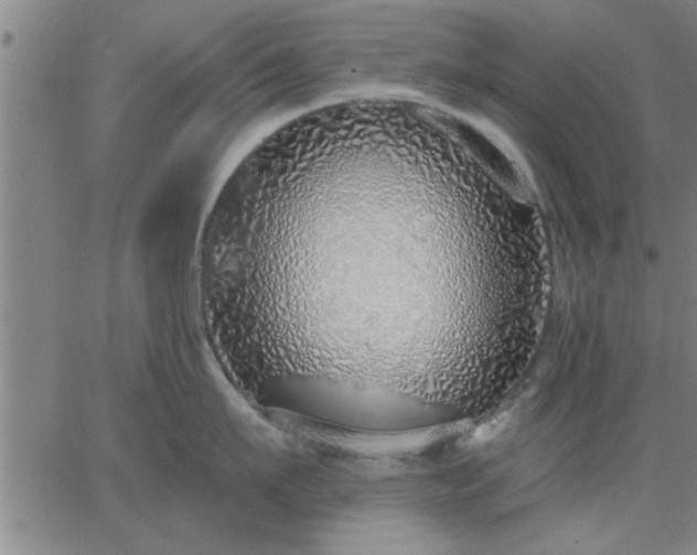 X0000063450911200601271536