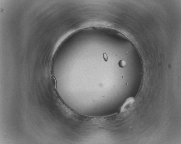 X0000063450912200601271536