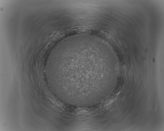 X0000063450913200601271535