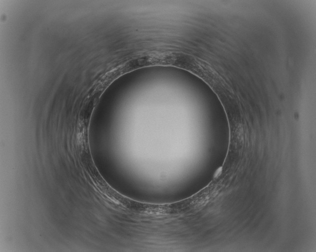 X0000063450914200601271535