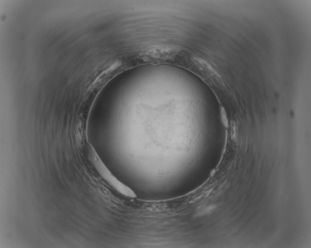 X0000063450915200601271535