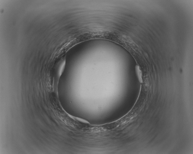 X0000063450916200601271535