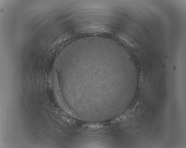 X0000063450917200601271535