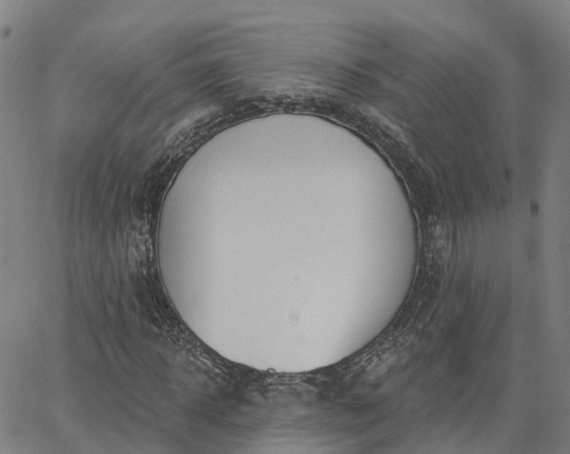 X0000063450918200601271535